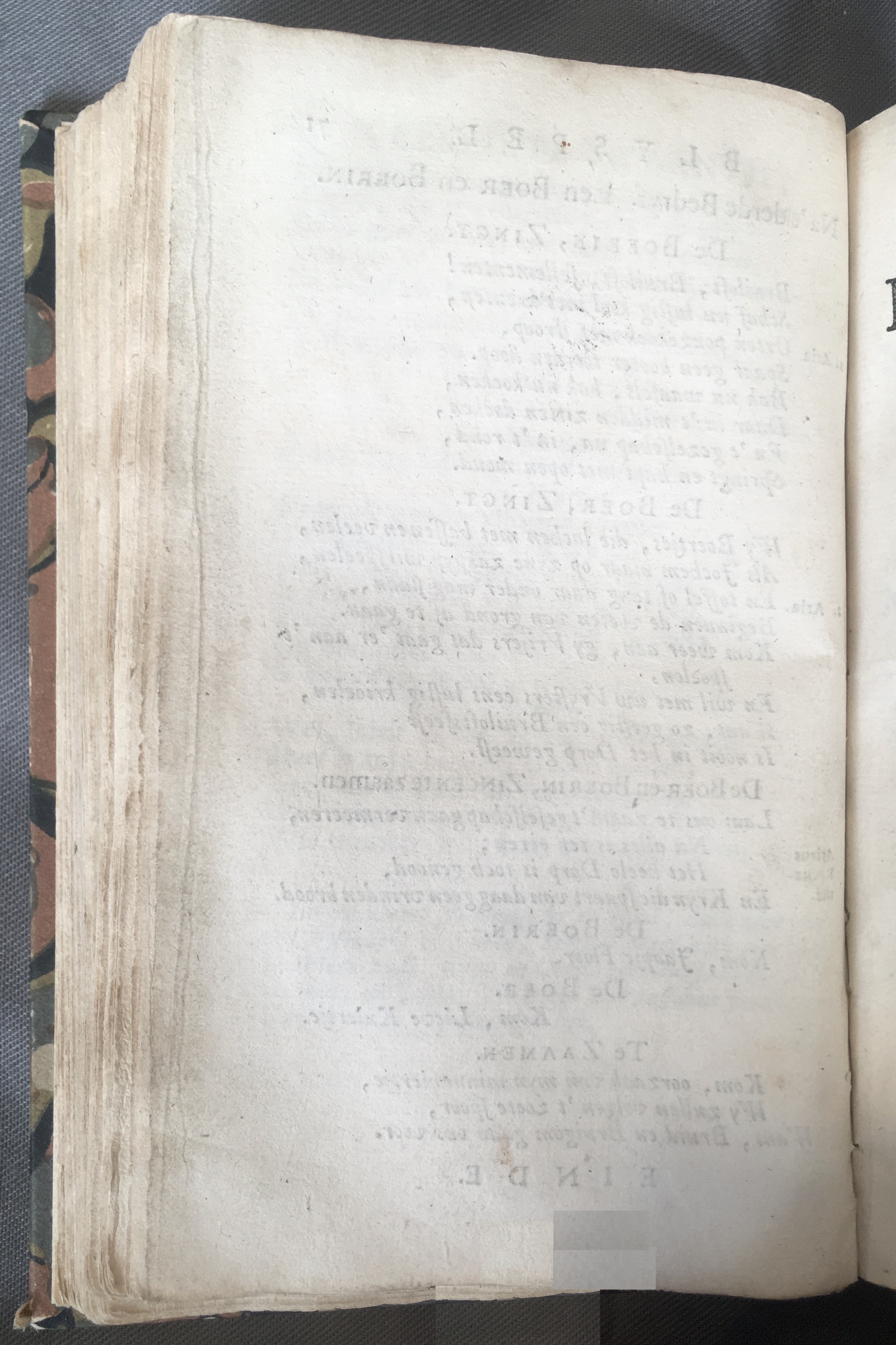 AlewynSwaantje1715a72.jpg