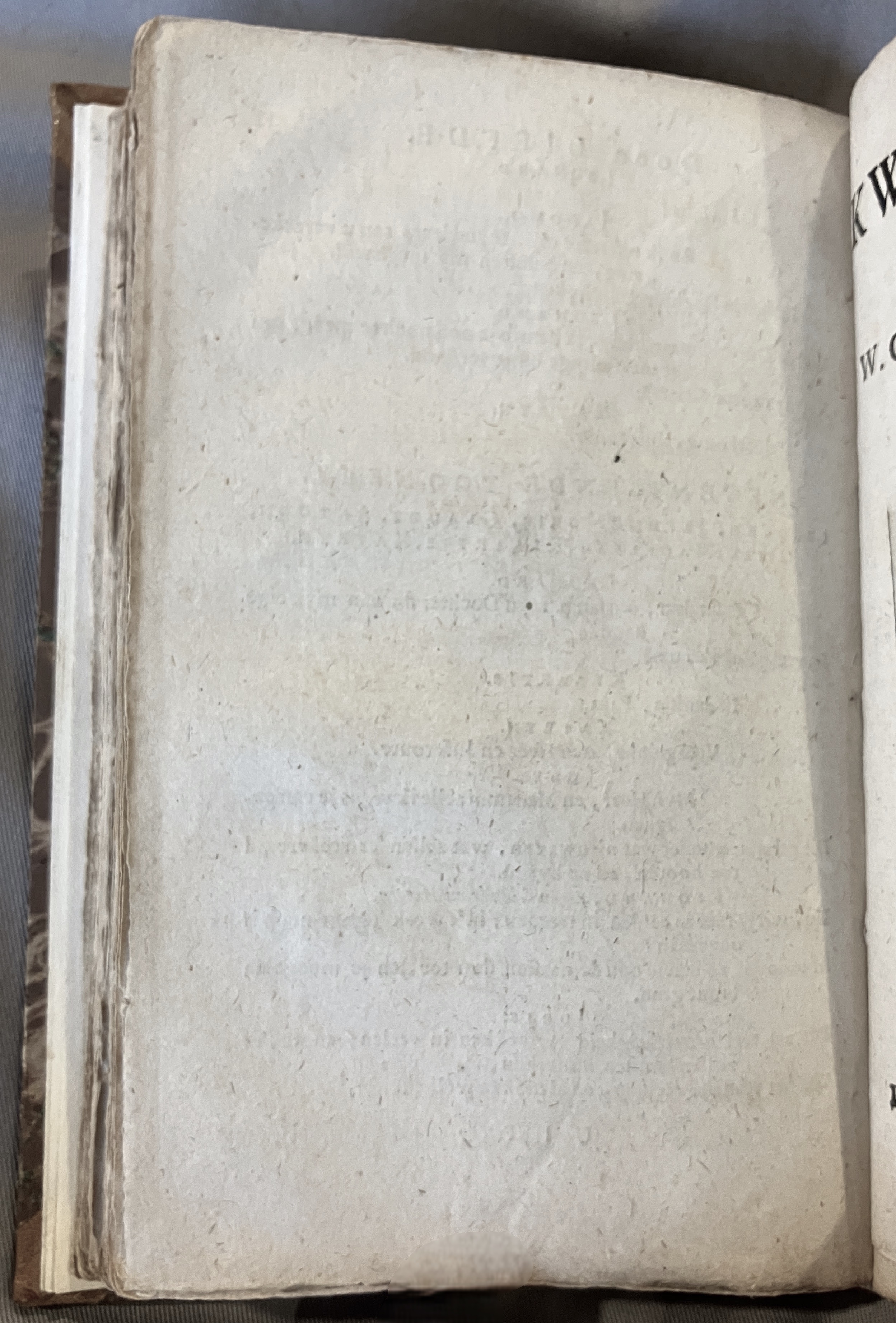 AsselijnSchoorsteenveeger1692p32