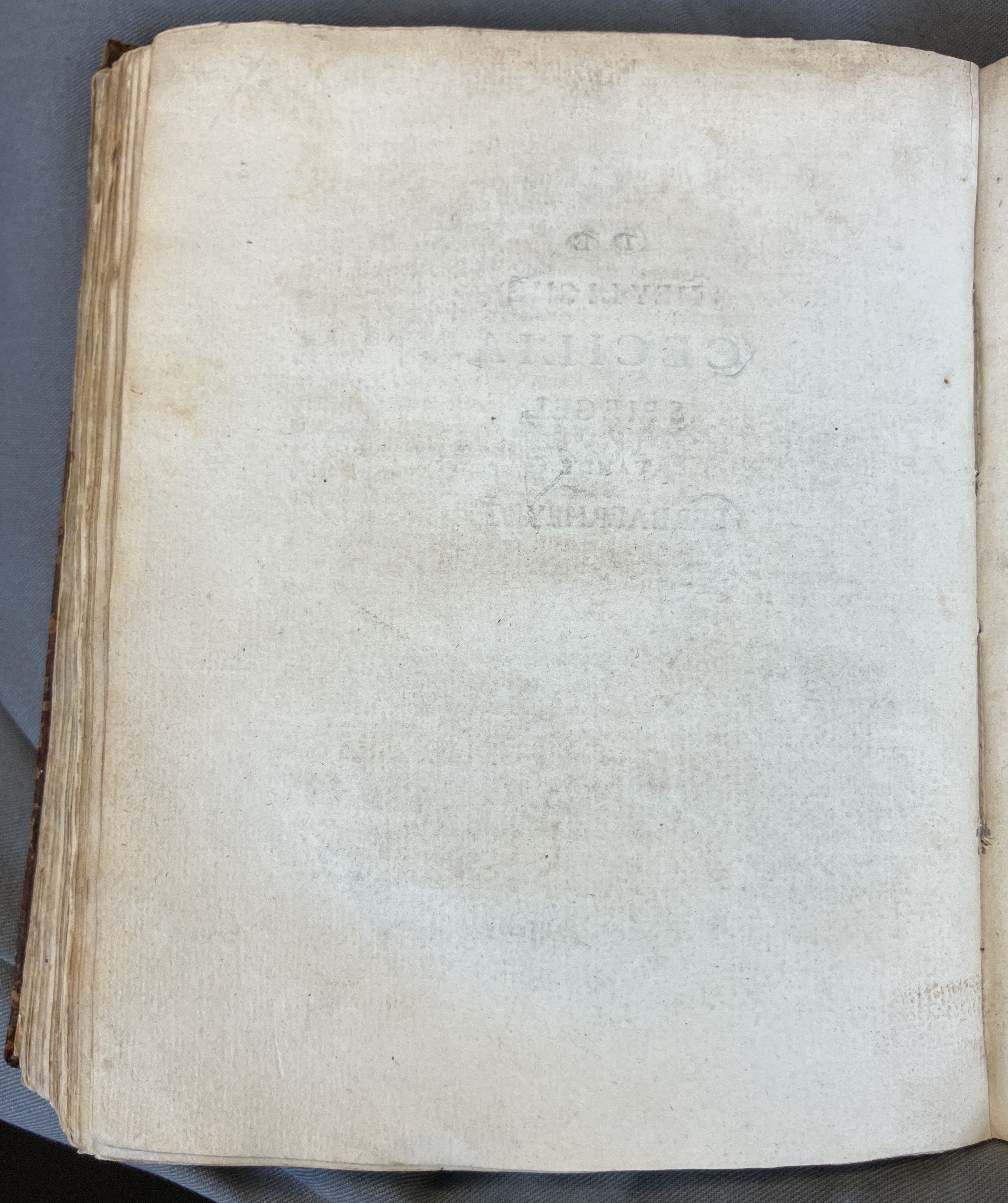 DeBieCecilia1671a04