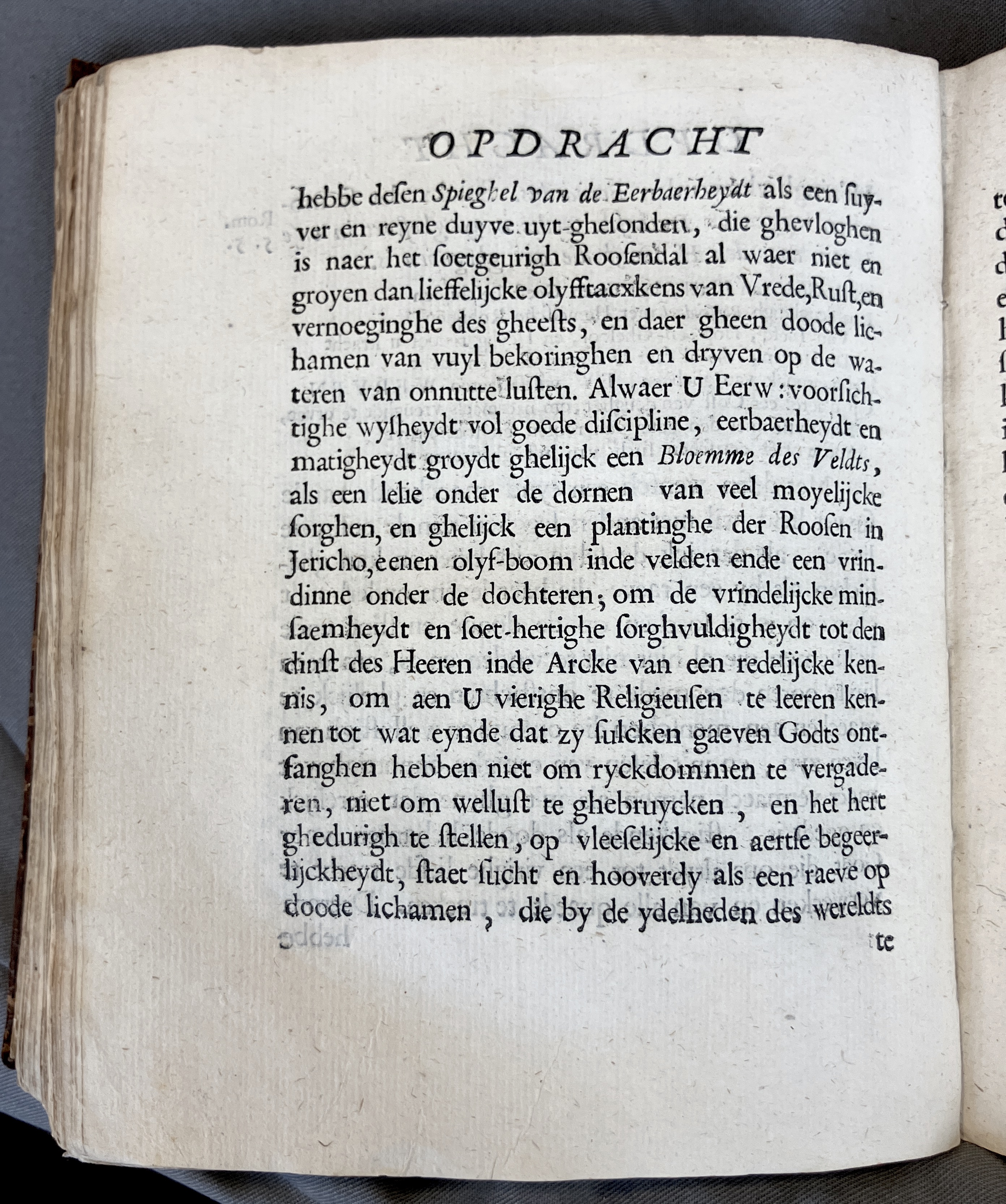 DeBieCecilia1671a16