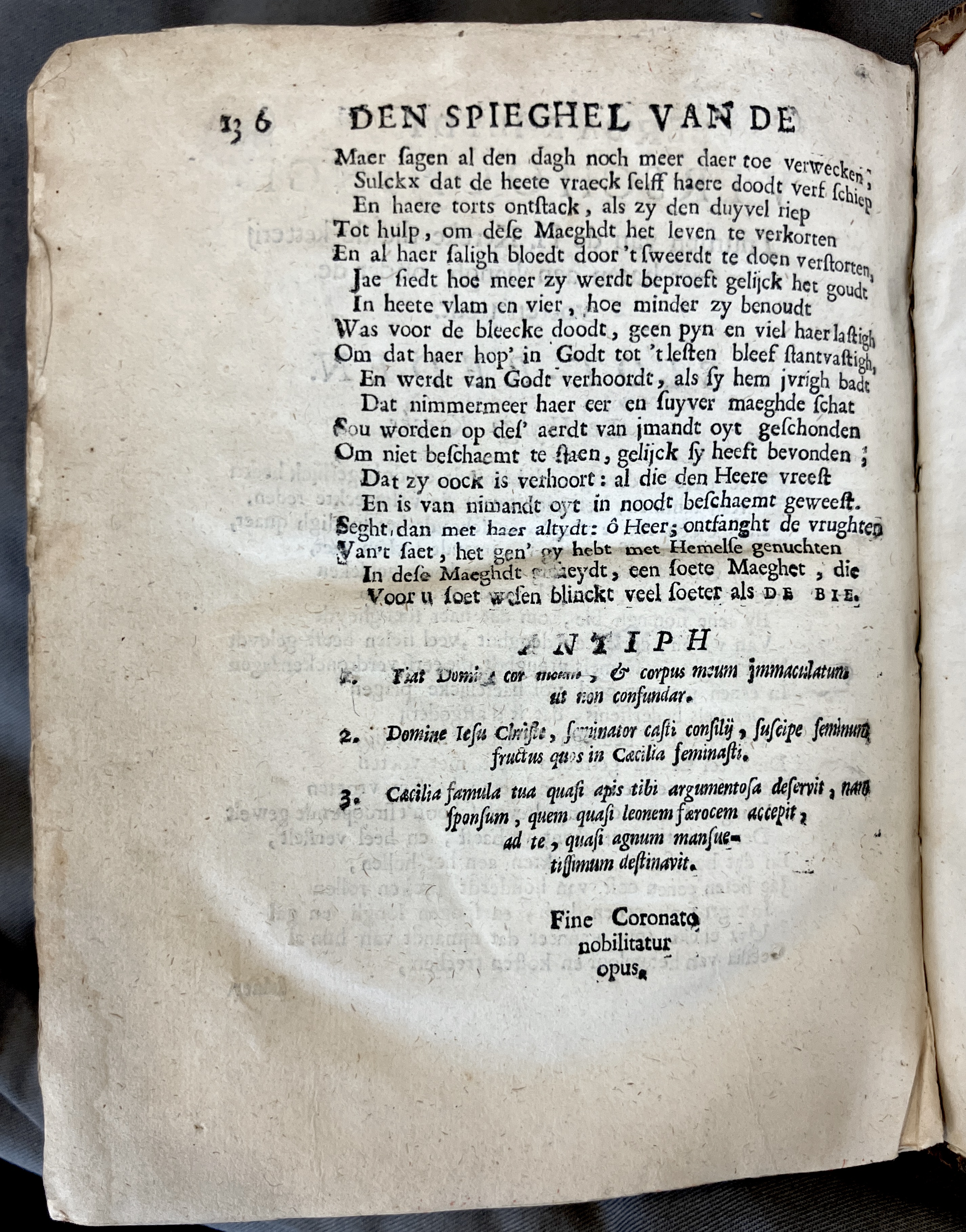 DeBieSmidt1671p136.jpg