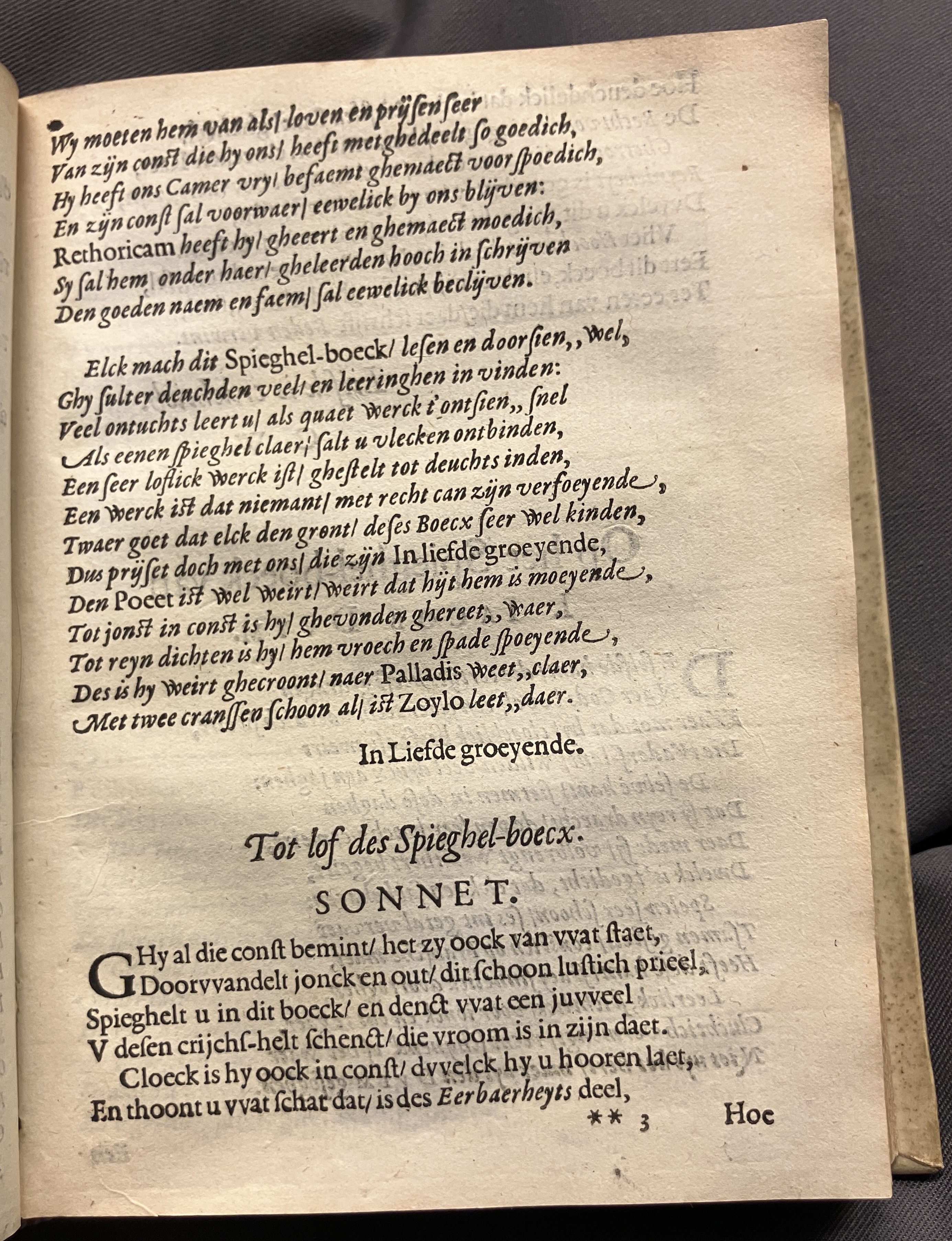 DuymSpiegelboeckVoorwerk1600p13