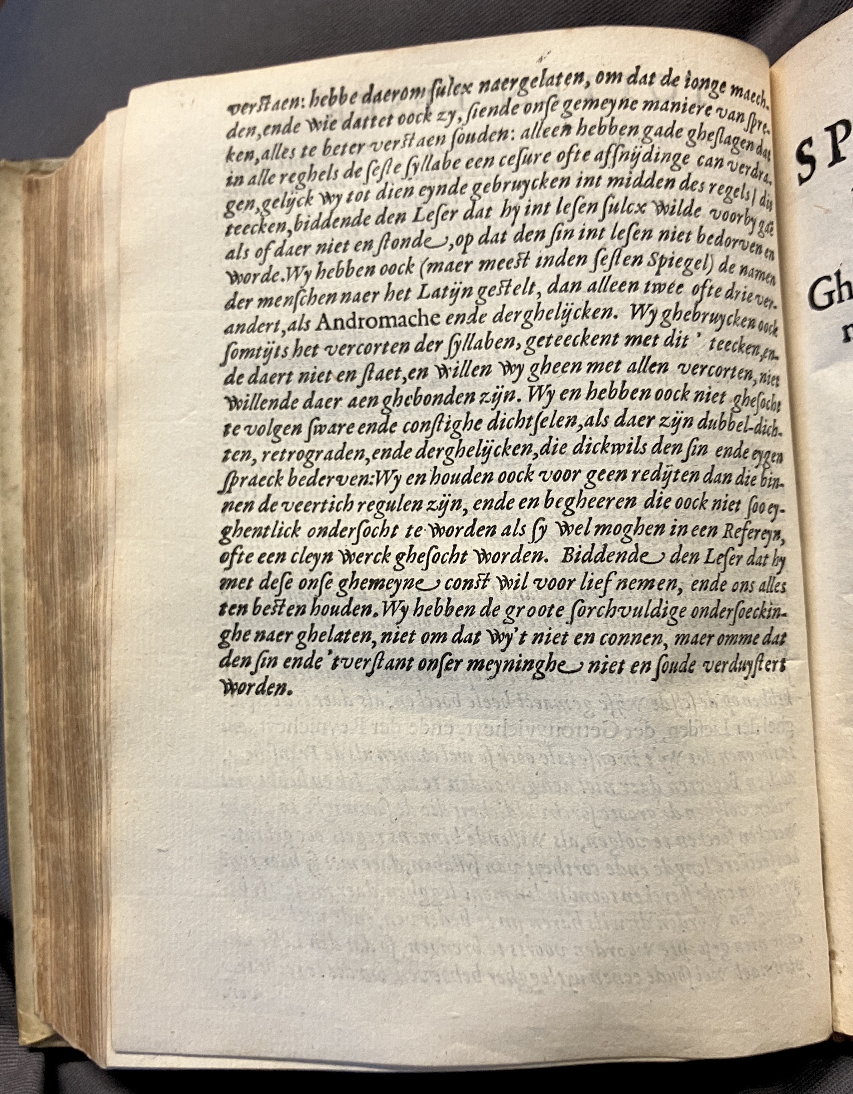 DuymSpiegelboeckVoorwerk1600p20