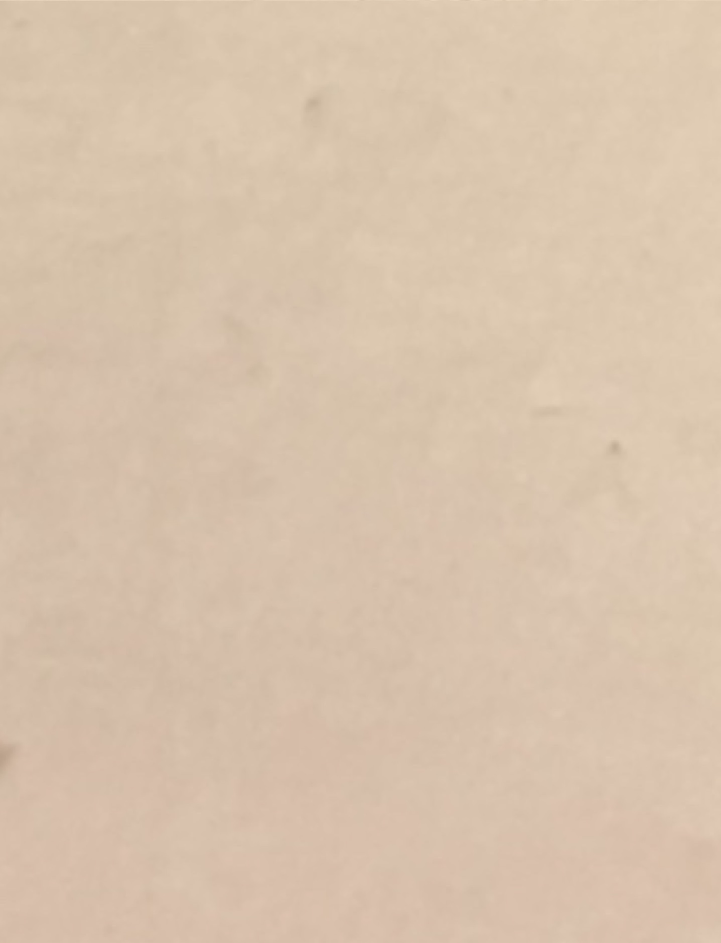 GaignanMariaAntoinetta1793aKBHp47