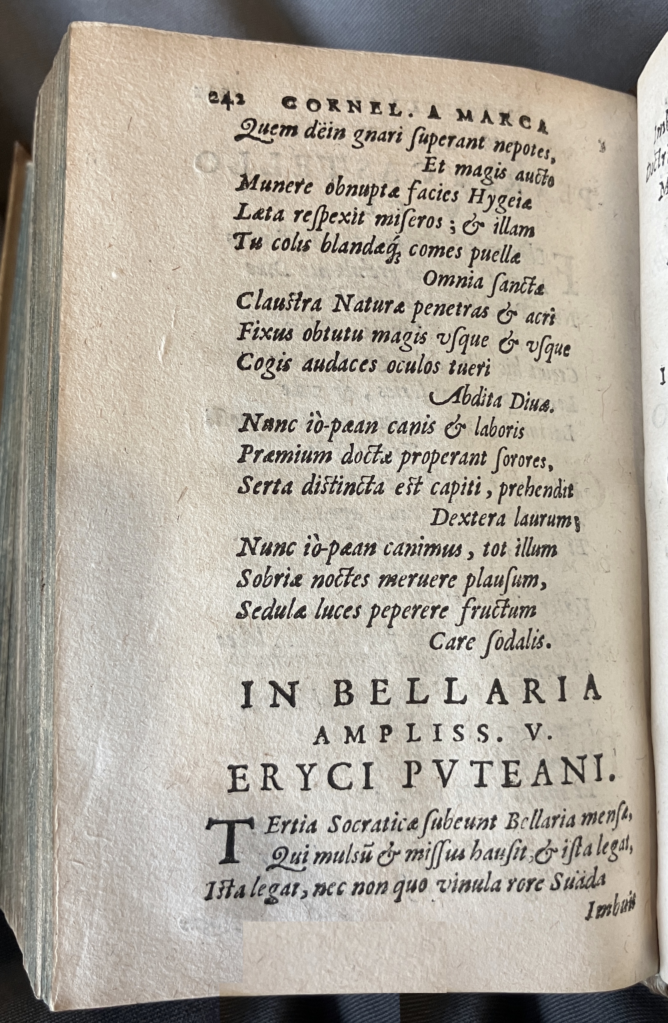 AMarcaOpera1613p242.jpg