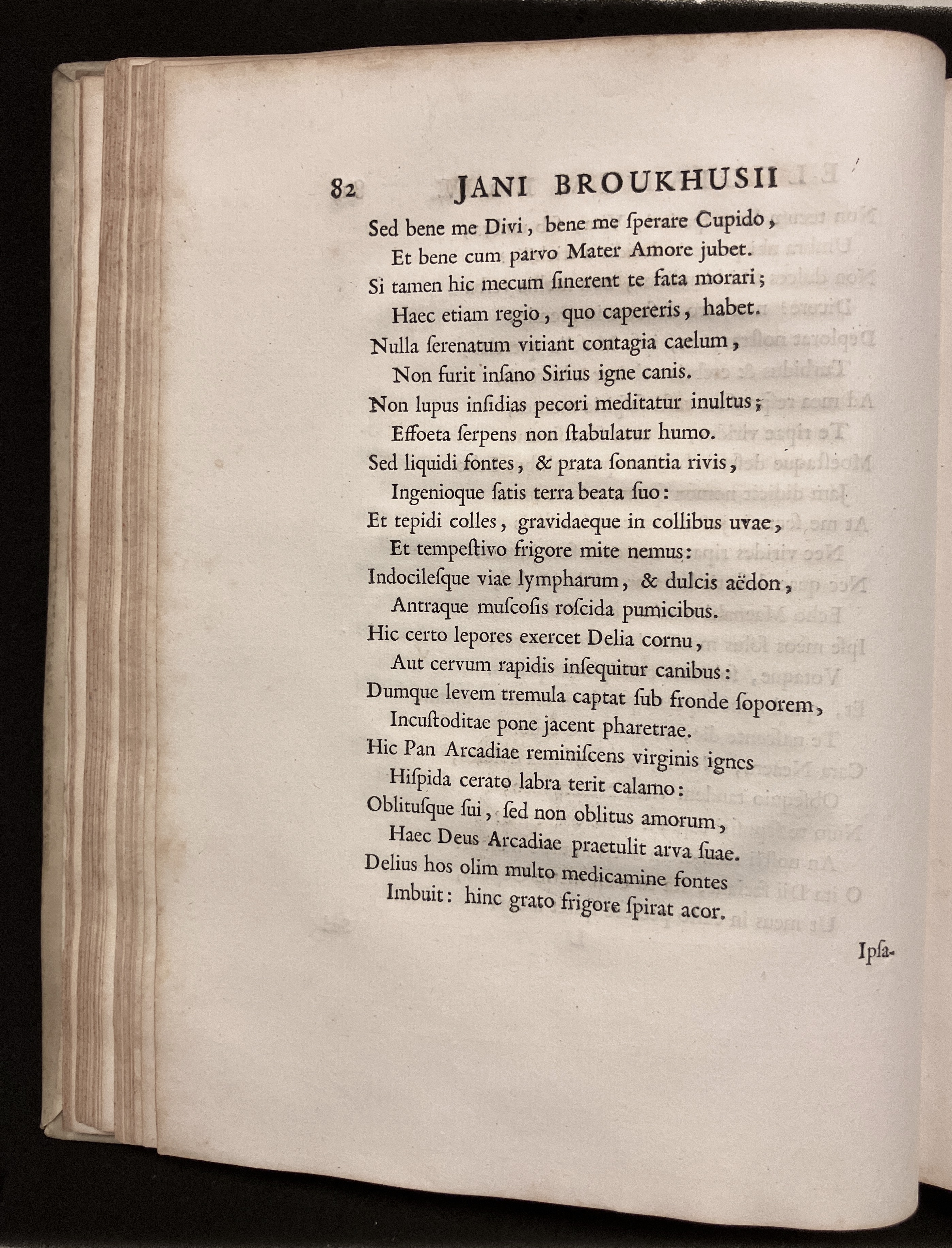 BroukhusiusPoemata1711p082.jpg