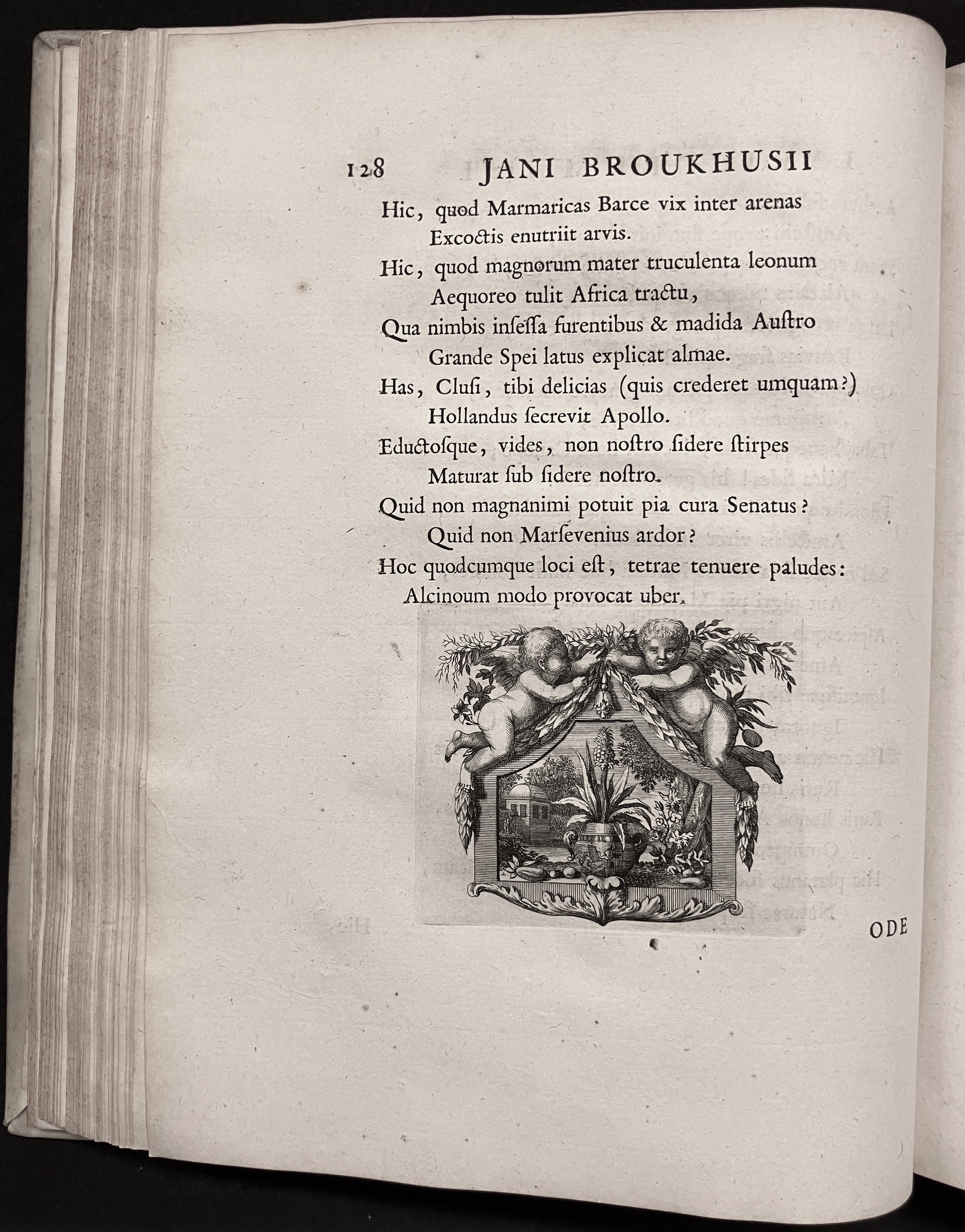 BroukhusiusPoemata1711p128.jpg