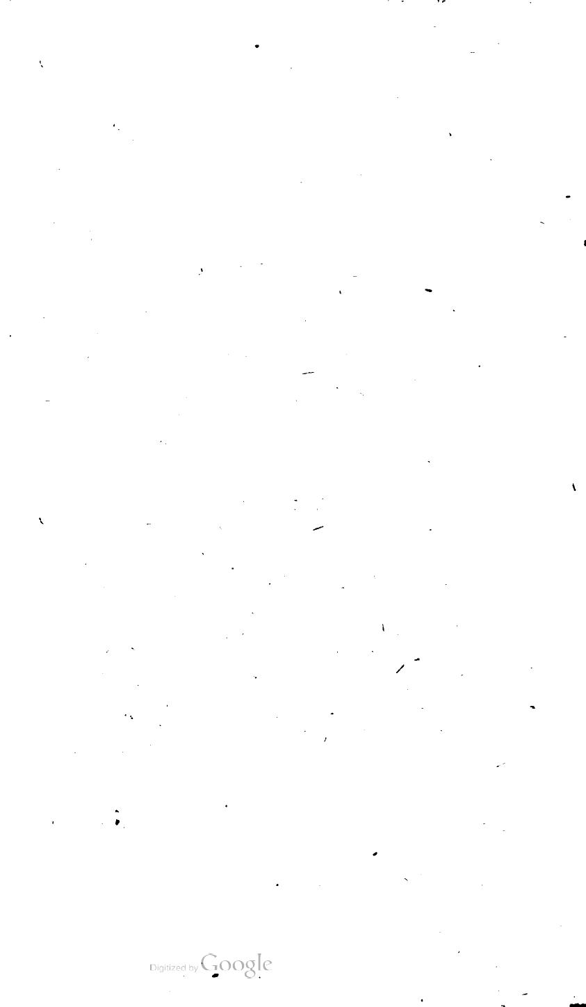 HeinsiusPoemata1603p206.jpg