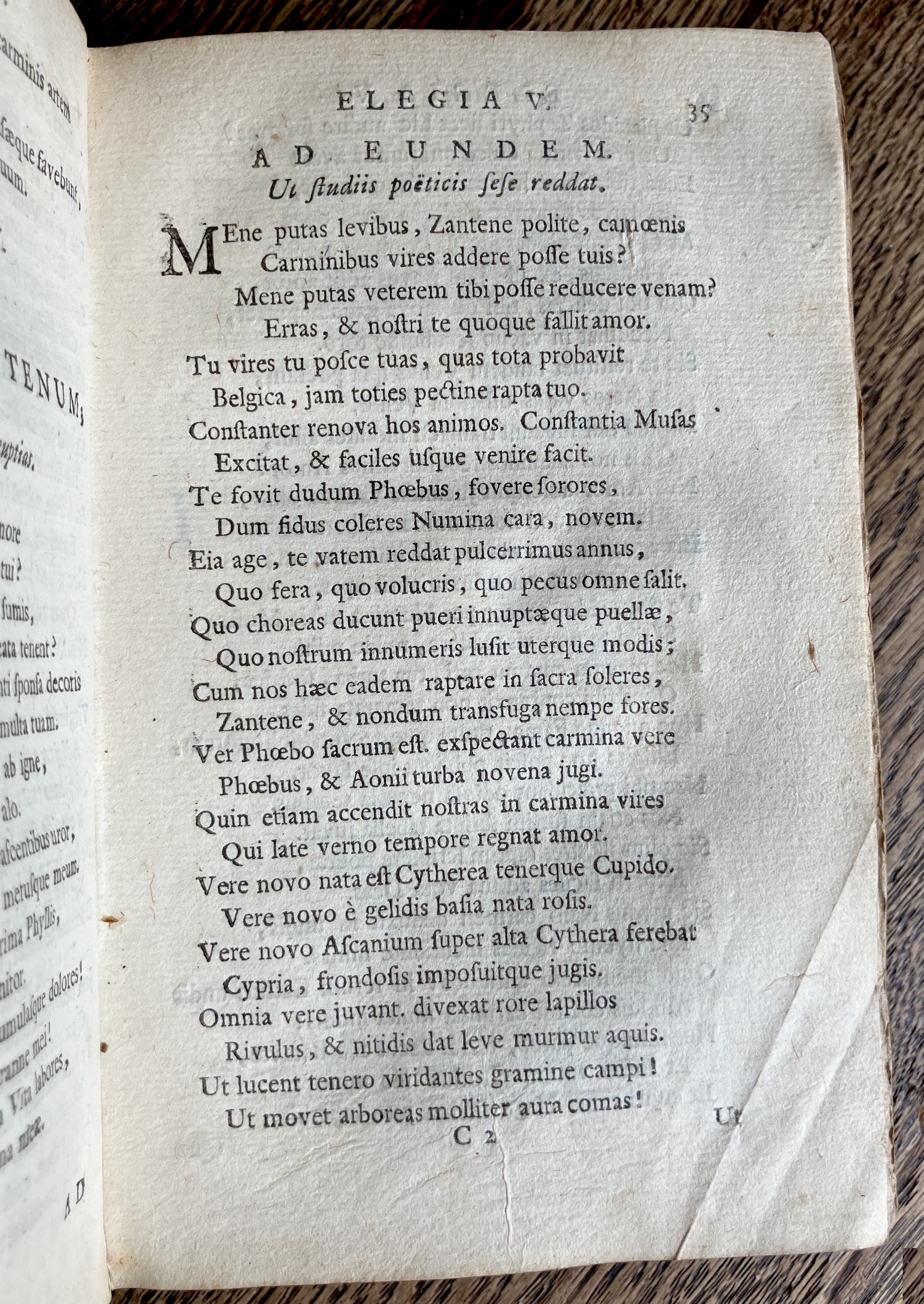 HoogstratenPoemata1728p035.jpg