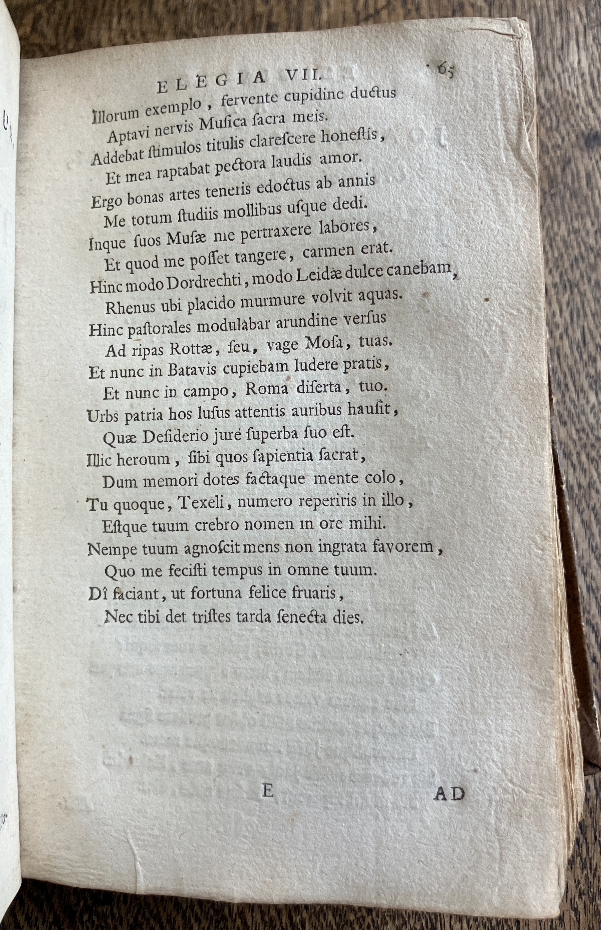 HoogstratenPoemata1728p065