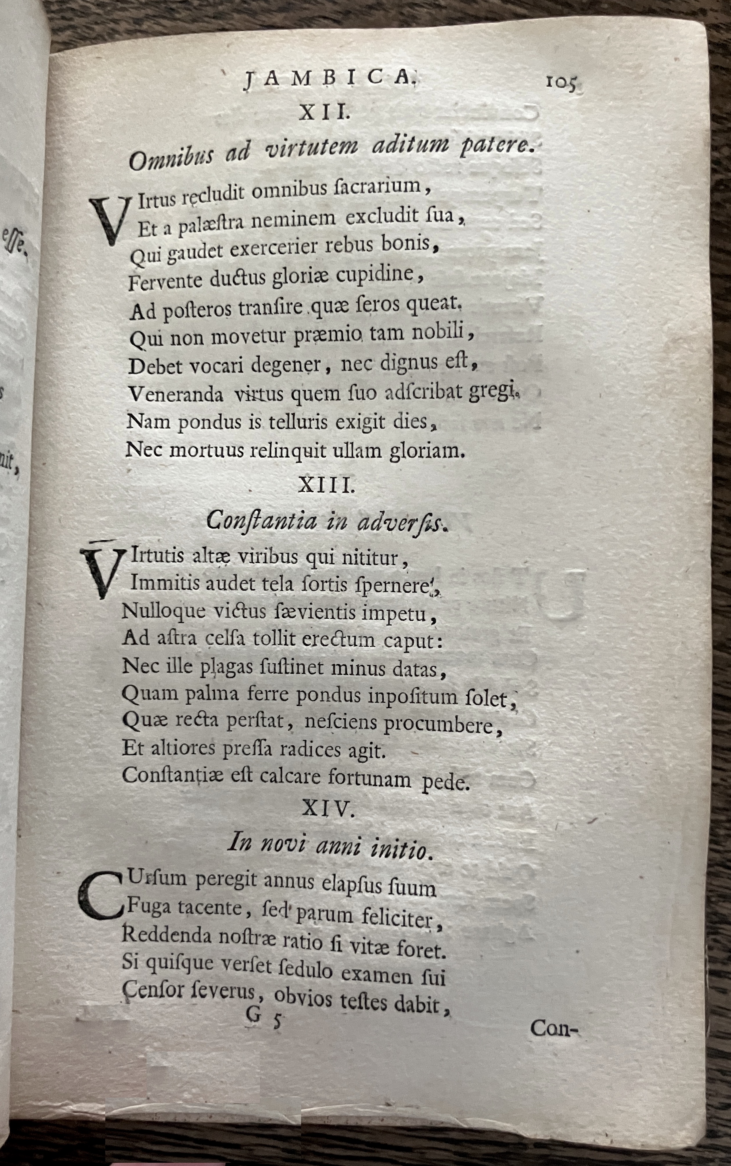 HoogstratenPoemata1728p105.jpg