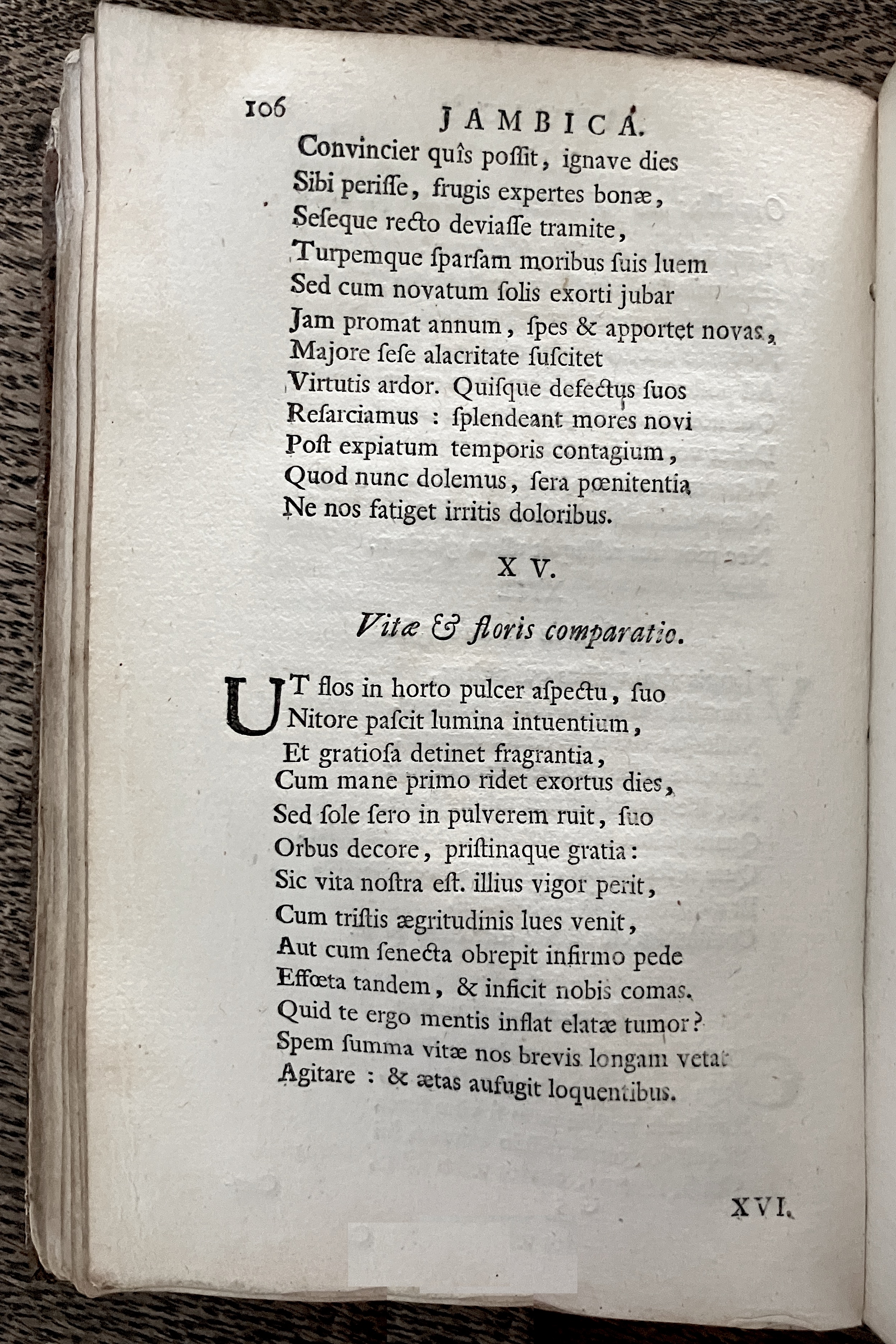 HoogstratenPoemata1728p106.jpg