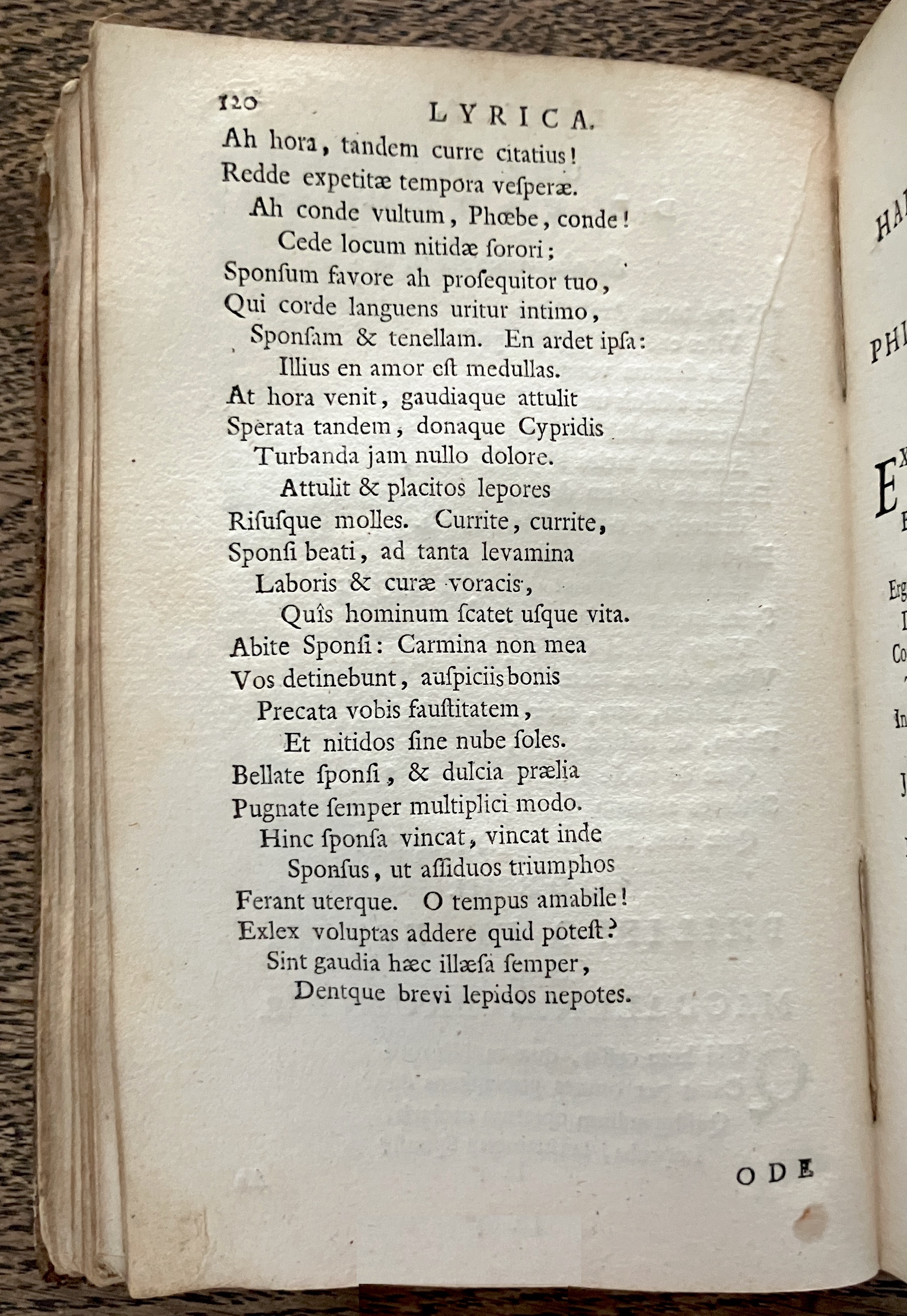 HoogstratenPoemata1728p120