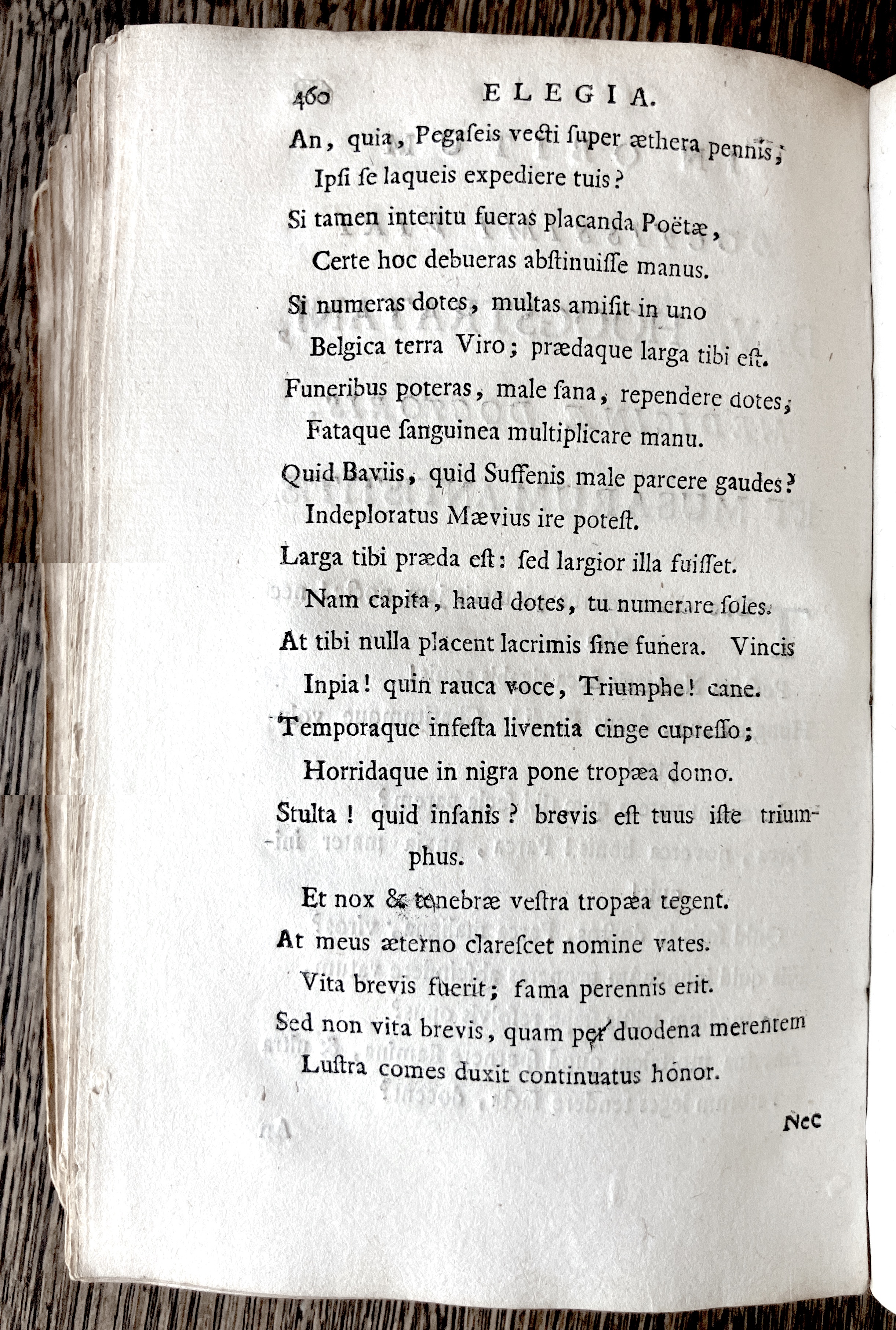 HoogstratenPoemata1728p462.jpg