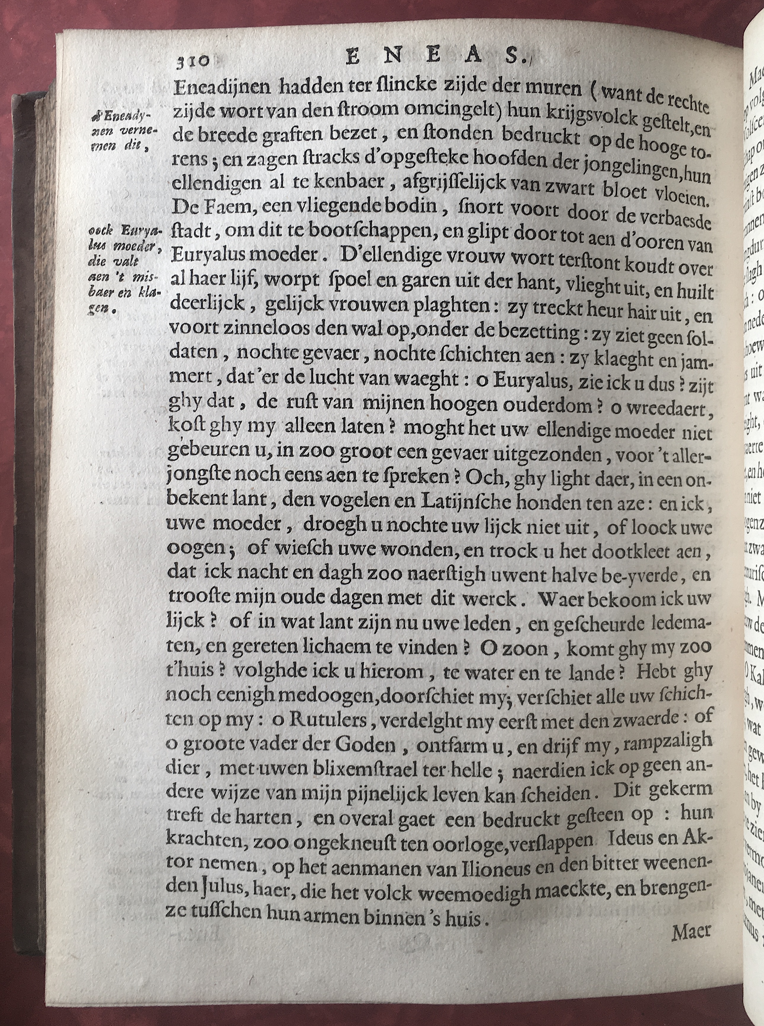 VondelVergilius1646p310.jpg