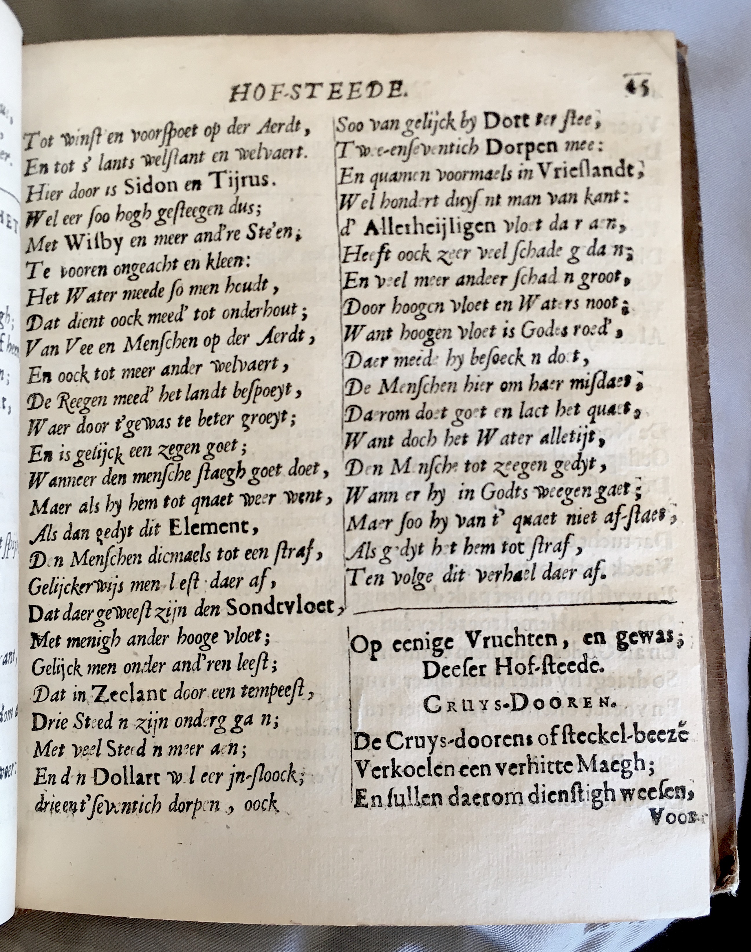 Hofstede1659p045